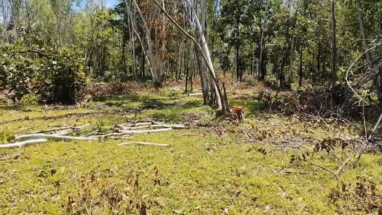 या घटनेची माहिती मिळताच, वृक्ष मित्र मंडळाचे सदस्य आणि ग्रामस्थांनी तातडीने तक्रार दाखल केली. यासंदर्भात तक्रारदार हेमराज कापगते यांनी दिलेल्या माहितीनुसार, आमच्या मंडळाने अनेक वर्षांच्या कष्टाने ही झाडे वाढवली होती. आता सरपंचांनी ती बेकायदेशीरपणे तोडली आहे, त्यांच्यावर तात्काळ कारवाई झाली पाहिजे.