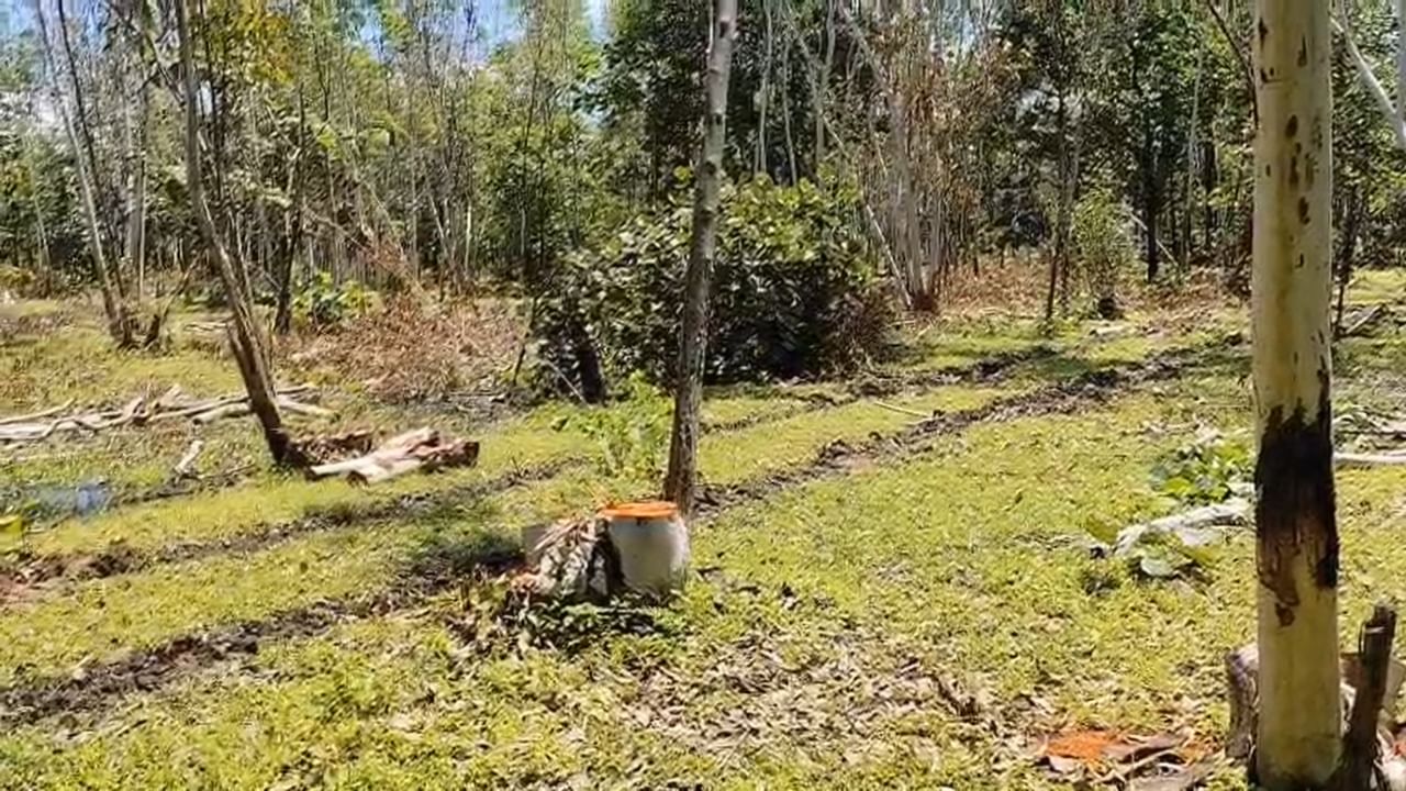 या गंभीर प्रकारामुळे वृक्षप्रेमी आणि ग्रामस्थांमध्ये तीव्र संताप व्यक्त केला जात आहे. त्यांनी दोषींवर कठोर कारवाई करण्याची मागणी जिल्हाधिकाऱ्यांकडे केली आहे. 1992 साली शासनाने रेंगेपार/कोहळी येथील सुमारे 20 एकर जमीन वृक्ष संवर्धनासाठी 'वृक्ष मित्र मंडळा'ला लीजवर दिली होती.