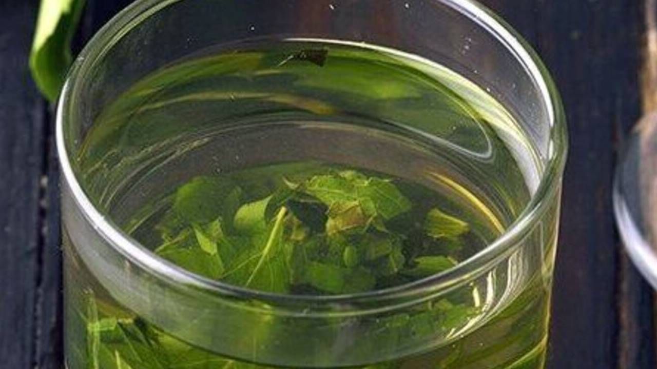 तुळशीमध्ये अँटीऑक्सिडंट, अँटी-इंफ्लेमेटरी आणि अँटीबॅक्टेरियल गुणधर्म असतात. शरीरातील विषारी पदार्थ काढून टाकण्यास हे मदत करतात. 