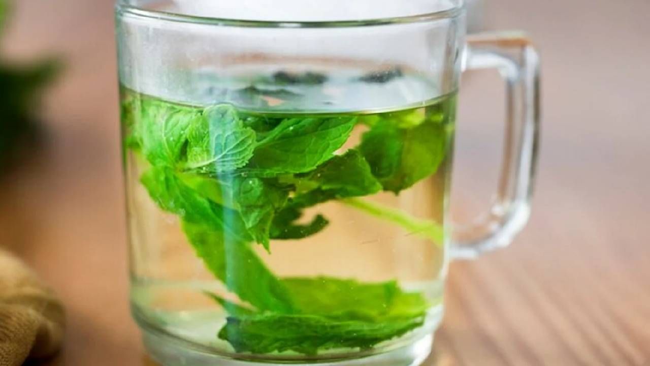 तुम्हाला जर त्वचेच्या काही समस्या असतील तर तुळशीच्या पानांचे पाणी प्या. यामुळे त्या झटपट कमी होतात. शिवाय पिंपल्स जाण्यासही मदत होते. 