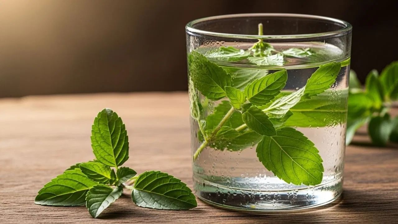 तुळशीचे पाणी मानसिक आरोग्यासाठी फायदेशीर आहे. जर तुम्हाला वारंवार ताण येत असेल तर दररोज सकाळी रिकाम्या पोटी तुळशीचे पाणी प्या. हे फायदेशीर ठरू शकते. यामुळे चिंता, थकवा आणि मूड स्विंग देखील कमी होतात.