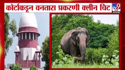 Ambanis Vantara Project : अंबानींचा ड्रीम प्रोजेक्ट ‘वनतारा’नं नियम पाळले,  SIT कडून क्लीन चीट