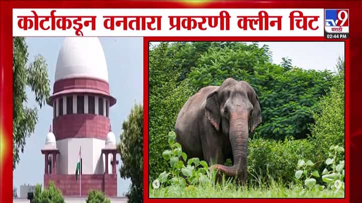 Ambanis Vantara Project : अंबानींचा ड्रीम प्रोजेक्ट 'वनतारा'नं नियम पाळले, SIT कडून क्लीन चीट Ambanis Vantara Project : अंबानींचा ड्रीम प्रोजेक्ट 'वनतारा'नं नियम पाळले, SIT कडून क्लीन चीट