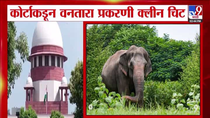 Ambanis Vantara Project : अंबानींचा ड्रीम प्रोजेक्ट 'वनतारा'नं नियम पाळले, SIT कडून क्लीन चीट Ambanis Vantara Project : अंबानींचा ड्रीम प्रोजेक्ट 'वनतारा'नं नियम पाळले, SIT कडून क्लीन चीट