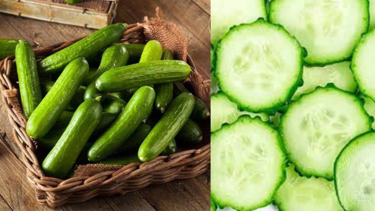 जवळपास सर्वच लोक फ्रीजमध्ये काकडी ठेवतात. मात्र, फ्रीजमध्ये काकडी ठेवणे टाळा. 10 अंश सेल्सिअसपेक्षा कमी तापमानात काकडी लवकर खराब होऊ लागतात. काकडी फ्रीमध्ये ठेवणे टाळाच. 