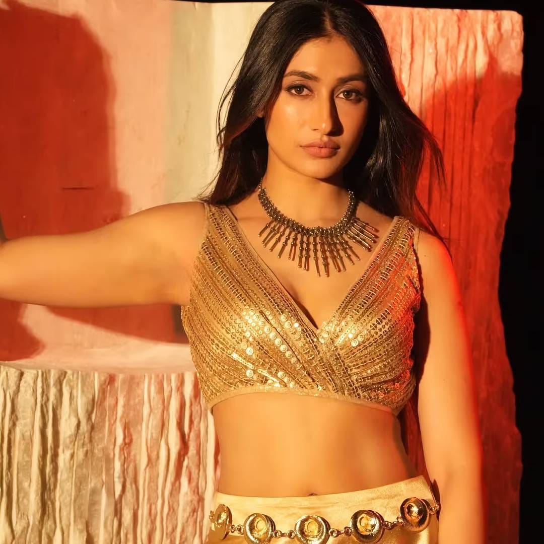 शो मध्ये धनश्रीच्या व्यक्तीगत आयुष्याबद्दल खूप बोललं जातय. काही स्पर्धक युजवेंद्र चहलसोबतच्या तिच्या घटस्फोटावर बोलले. अभिनेत्री आहाना कुमरा सुद्धा धनश्रीबद्दल अनेकदा बोललीय. ती सर्व मुलांसोबत बनवून ठेवते असं आहाना कुमरा म्हणाली. 