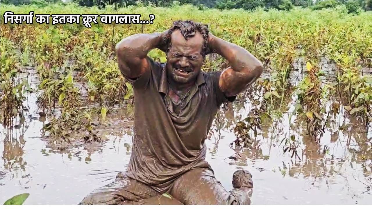 यवतमाळच्या आर्णी येथील शेतकरी सैय्यद रहीम यांच्या मुलीचं तीन महिन्यानंतर लग्न आहे. पावसामुळे त्याच्या सोयाबीनचे मोठे नुकसान झाले. त्याचा आक्रोश दिसून आला.  शेतकरी ढसा ढस रडला. त्याच्या रडण्याने अनेकांची मनं हादरून गेली. 