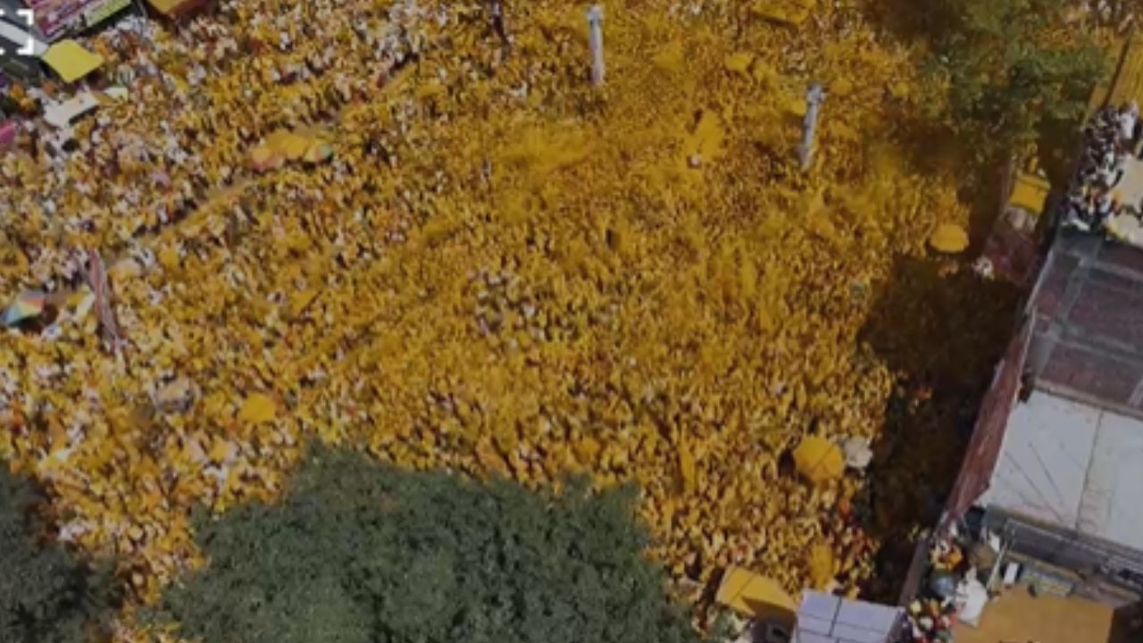 महाराष्ट्रासह पाच राज्यात प्रसिद्ध असणाऱ्या हातकणंगले तालुक्यातील पट्टण कोडोलीच्या श्री विठ्ठल बिरदेव यात्रेला आजपासून सुरुवात झाली आहे. ढोल-कैतळाचा निनाद, खोबरे, लोकर आणि सत्तर टन भंडार्‍याची मुक्त उधळण तसेच  परंपरागत अंजनगावचे फरांडेबाबा खेलोबा वाघमोडे यांच्या भाकणुकीने यात्रेला प्रारंभ झाला.  