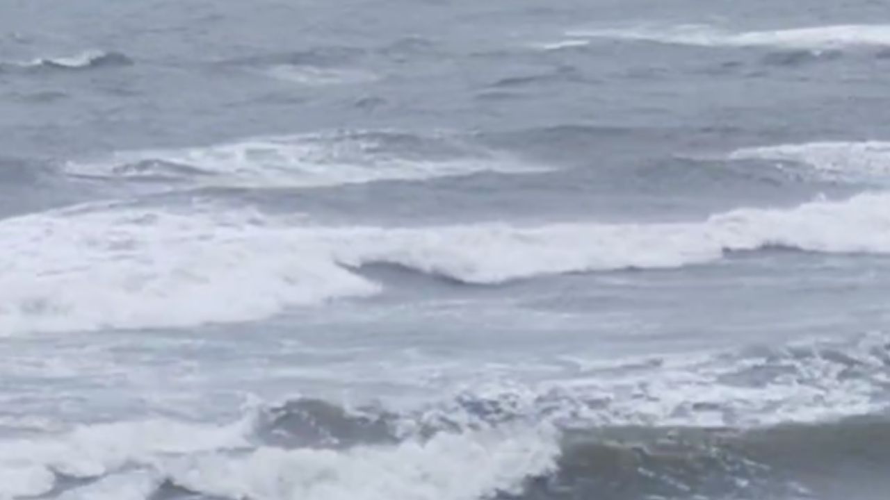 महाराष्ट्रात पुन्हा एकदा पावसाचं जोरदार पुनरागमन झालं आहे. गेल्या दोन दिवसांपासून राज्यातील अनेक भागांमध्ये मुसळधार पाऊस सुरू असल्याचं पाहायला मिळत आहे. याचा मोठा फटका हा शेतकऱ्यांना बसला आहे.