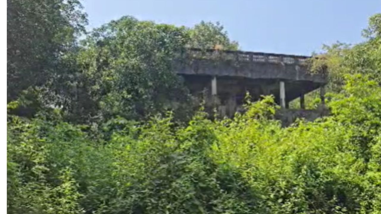 त्यामुळे आता पुन्हा एकदा या जमिनी लिलावात समाविष्ट करण्यात आल्या आहेत,  यामध्ये १०,४२० चौ.मी.जमीन राखीव किंमत ९.४ लाख, ८,९५३ चौ.मी. जमीन राखीव किंमत ८ लाख आणि २,२४० चौ.मी. शेतीजमीन राखीव किंमत २.३ लाख एवढी आहे.        