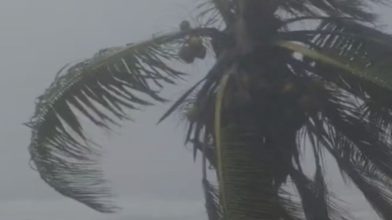 बंगालच्या उपसागरात कमी दाबाचा पट्टा निर्माण झाला आहे, तर अरबी समुद्रातील कमी दाबाच्या क्षेत्राचे रूपांतर तीव्र दाबात होण्याची शक्यता आहे. याचा परिणाम म्हणून कोकण किनारपट्टीवर पावसाचा जोर अधिक वाढण्याची शक्यता आहे.