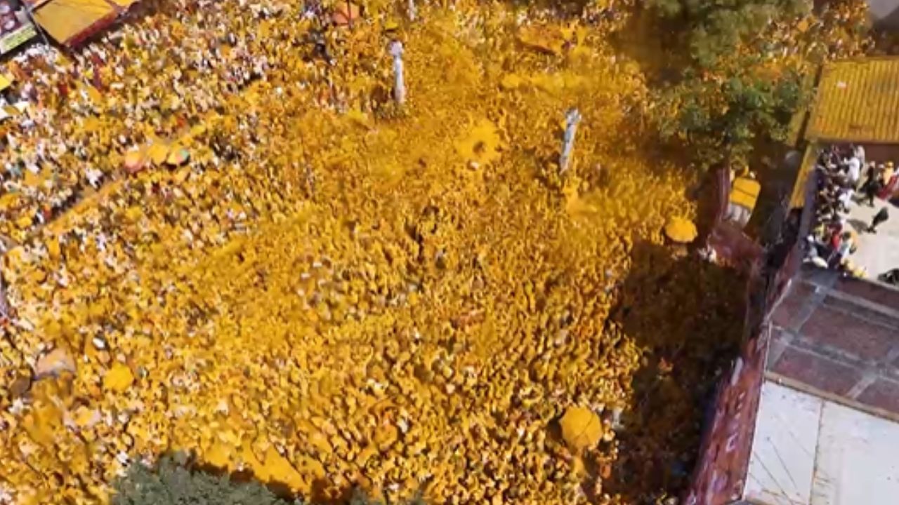 विठ्ठल बिरदेवाचं चांगभलच्या गजराने संपूर्ण परिसर भक्तिमय झाला, फरांडेबाबांची भाकणूक ऐकण्यासाठी राज्यसह, परराज्यातील भाविक देखील यावेळी मंदिरात आले, भाविकांनी मंदिरात प्रचंड गर्दी केली.  