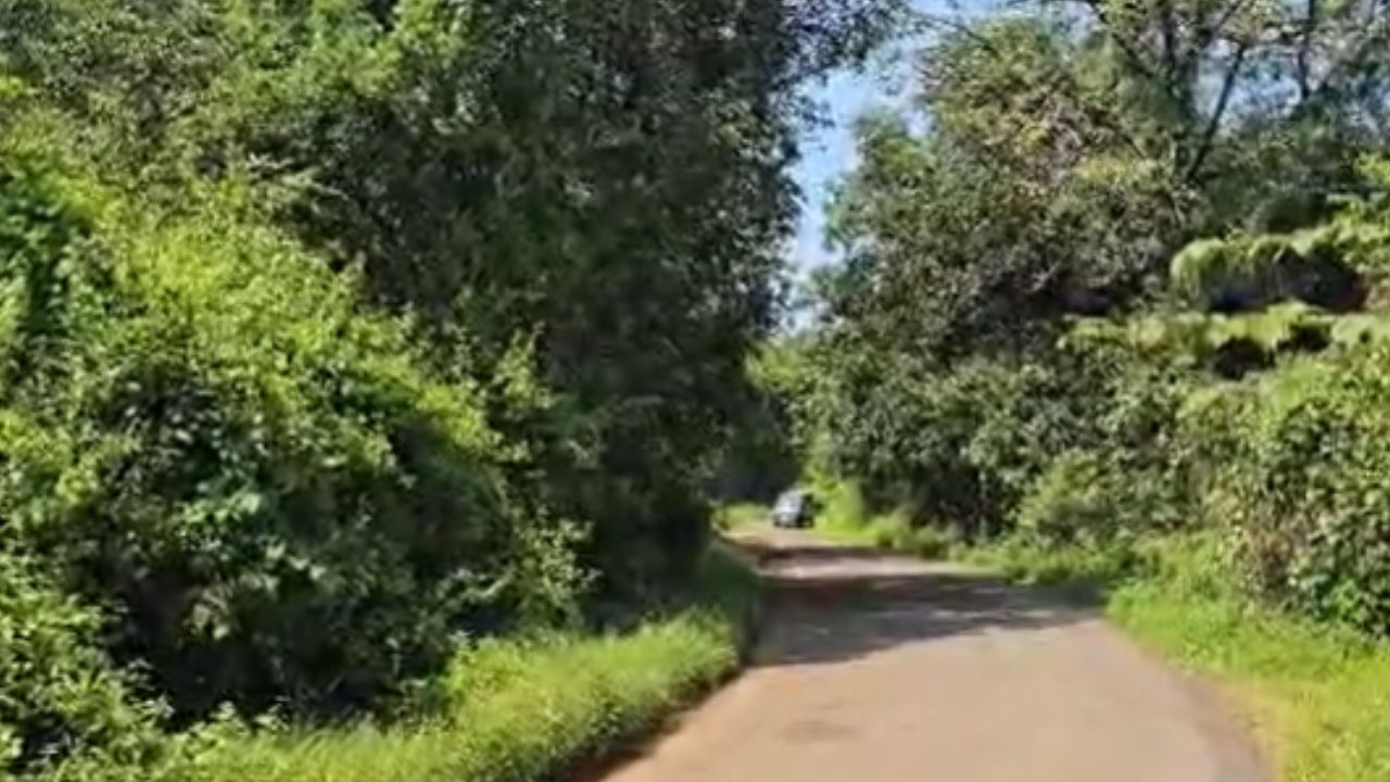 जानेवारी २०२४ मध्ये याच गावातील चार प्लॉट्सचा लिलाव झाला होता. त्यातील दोन जमिनी या दाऊदच्या आईच्या नावावर होत्या. मात्र त्यावेळी १७१ चौ.मी. जमिनीसाठी तब्बल २.०१ कोटींची बोली लावली गेली, मात्र  प्रत्यक्ष व्यवहार फक्त ३.२८ लाखांचाच झाला. 