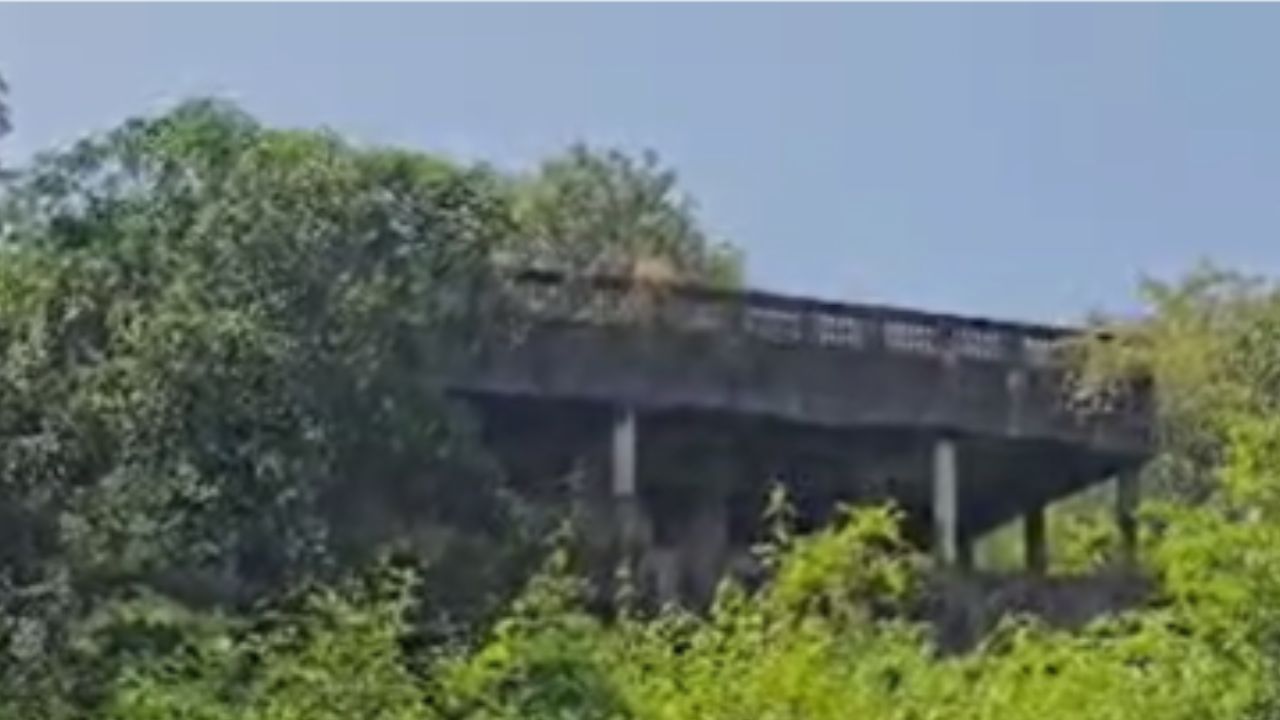 या मालमत्तांचा लिलाव येत्या 4 नोव्हेंबरला होणार आहे, या मालमत्तांमध्ये रत्नागिरी जिल्ह्यातील खेड तालुक्यातील मुम्बके गावातील 171 चौ.मी. शेत जमिनीचा देखील समावेश आहे.