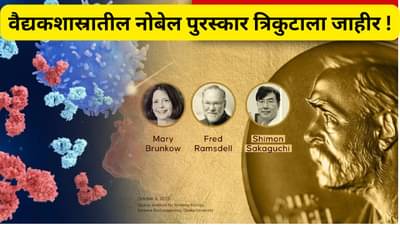 पेरिफेरल इम्यून टॉलरन्ससाठी मिळाले वैद्यकशास्रातील नोबेल, या मागचे संशोधन का फायद्याचे ते जाणून घ्या
