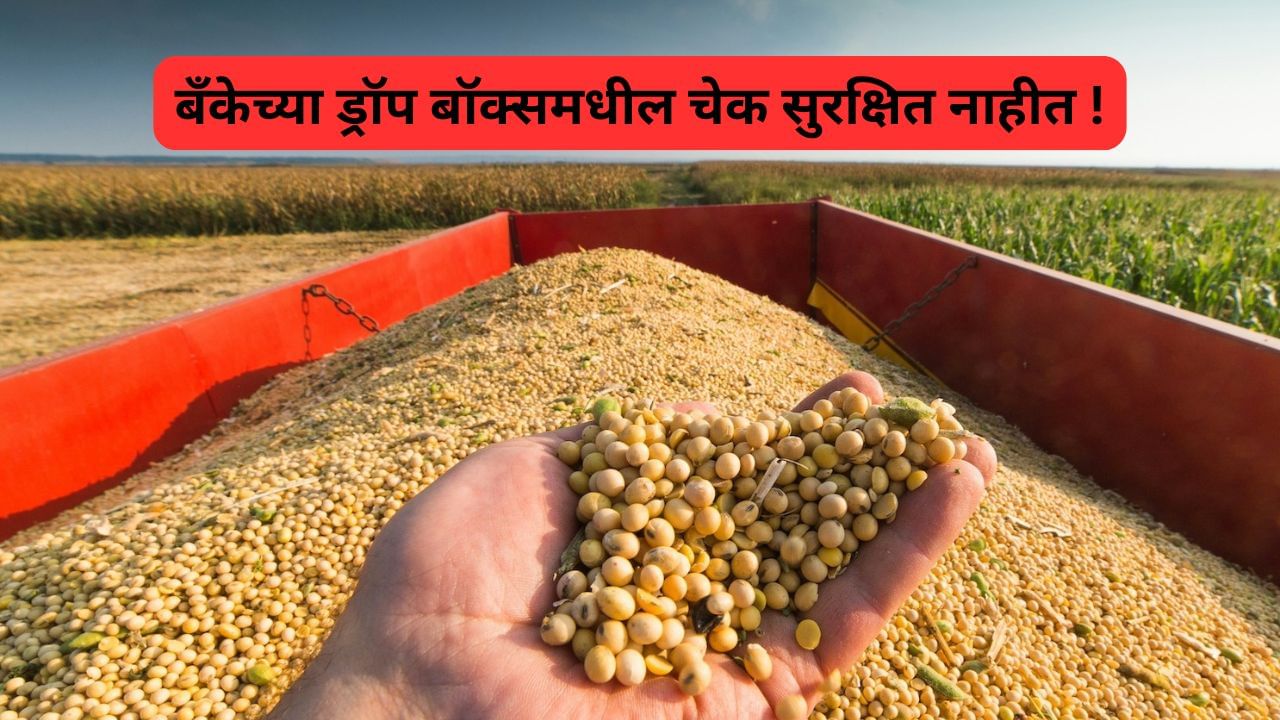 Solapur News : सोयाबिन शेतकऱ्याचा ४ लाखांचा चेक बँकेतून चोरीला गेला,घोर कलियुग आले