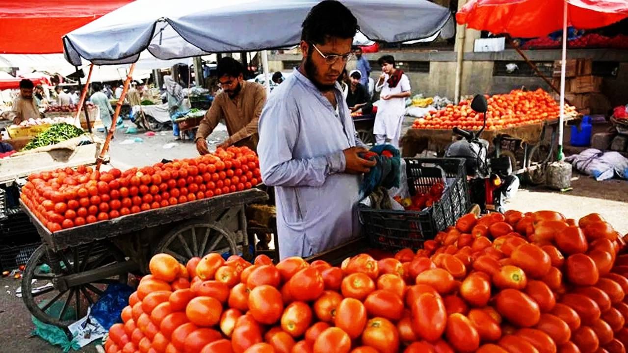 Tomato Prices : अफगाणिस्तानचा पाकवर टोमॅटो स्ट्राईक; एका किलोसाठी मोजावेल लागताय 700 रुपये, शेजारी देशात हाहाःकार