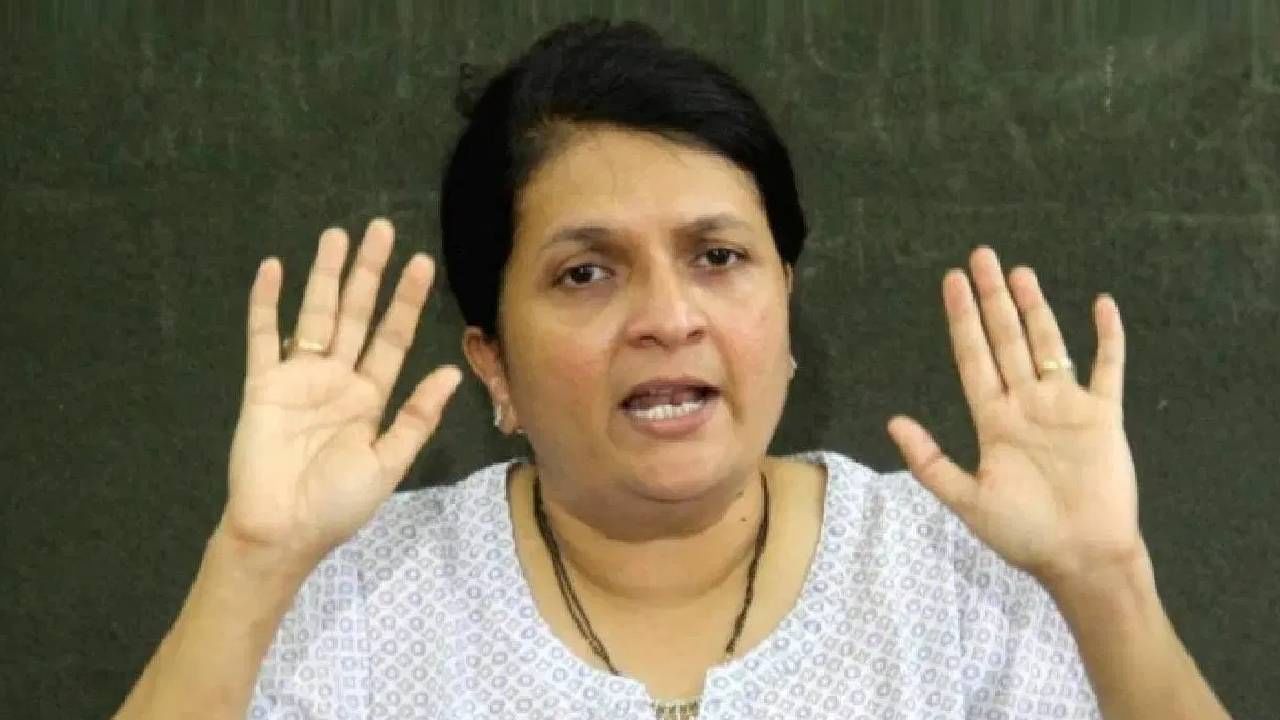 अंजली दमानिया यांची थेट सरकारवर टीका, म्हणाल्या, अर्थमंत्री दहावी पास.. अंजली दमानिया यांची थेट सरकारवर टीका, म्हणाल्या, अर्थमंत्री दहावी पास..