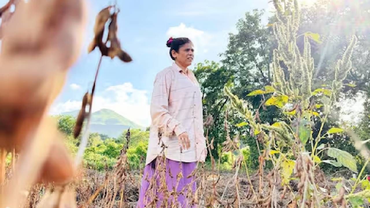 एक मराठमोळी अभिनेत्री गावी जाऊन शेतात घाम गळाताना दिसत आहे. तिचे शेतात राबतानाचे फोटो सोशल मीडियावर व्हायरल झाले आहेत.