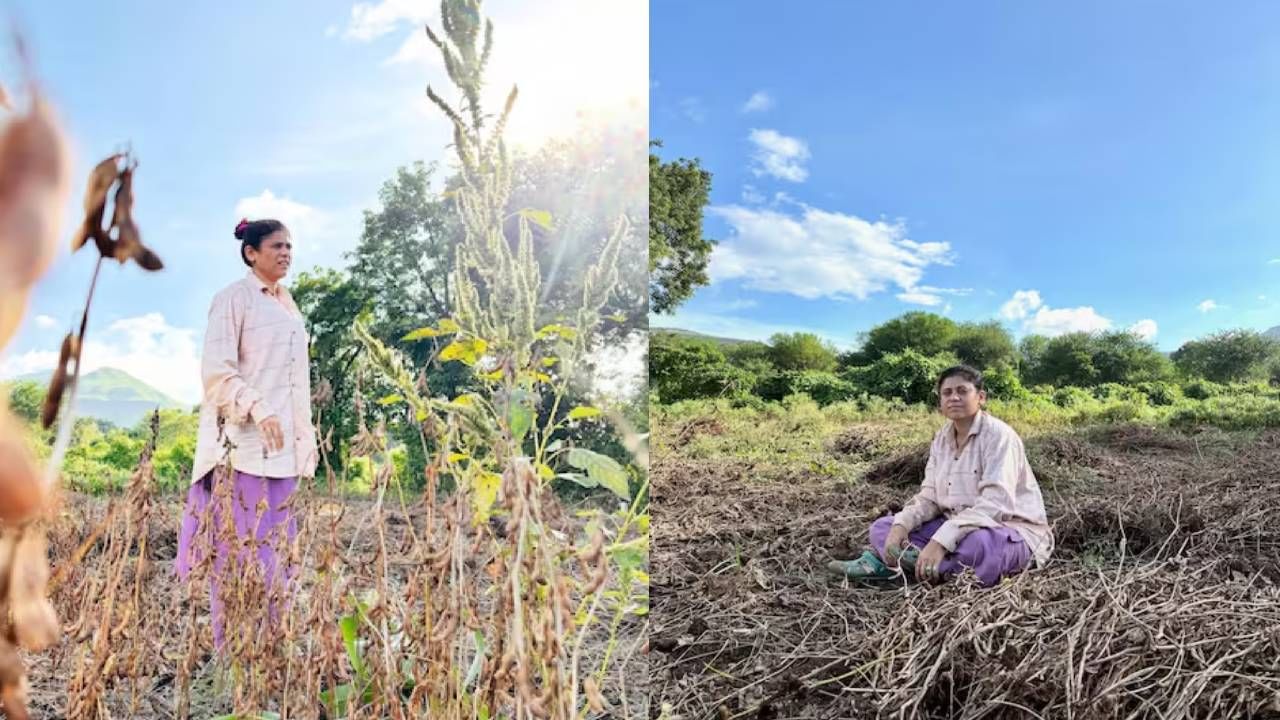 अश्विनी दरवर्षी शेतीच्या कामासाठी गावी जाते. यंदाही ती शेती करण्यासाठी गावी गेली आहे.