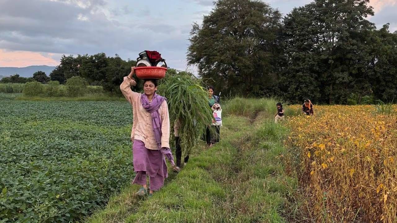 मराठी चित्रपटसृष्टीमधील अनेक कलाकार असे आहेत जे आजही आपल्या मातीशी जोडलेले आहेत. हे कलाकार ग्लॅमरच्या दुनियेत जरी असले तरी शेतात राबताना दिसतात. सध्या अशाच एका अभिनेत्रीचे फोटो व्हायरल झाले आहेत.
