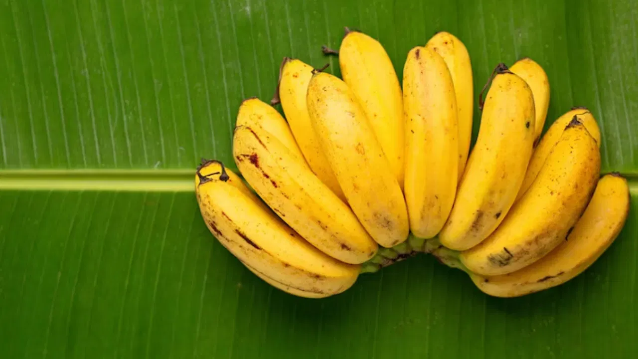 केळी: आहारतज्ज्ञांच्या मते, प्रजनन क्षमता कमी असलेल्या लोकांनी केळ्याचे सेवन करणे आवश्यक आहे. केळ्यामध्ये विटामिन ए, सी, बी1, प्रोटीन आणि मॅग्नेशियम भरपूर प्रमाणात असते. हे सर्व घटक शुक्राणूंची संख्या वाढवण्यासाठी आणि त्यांची गुणवत्ता सुधारण्यासाठी प्रभावी आहेत.