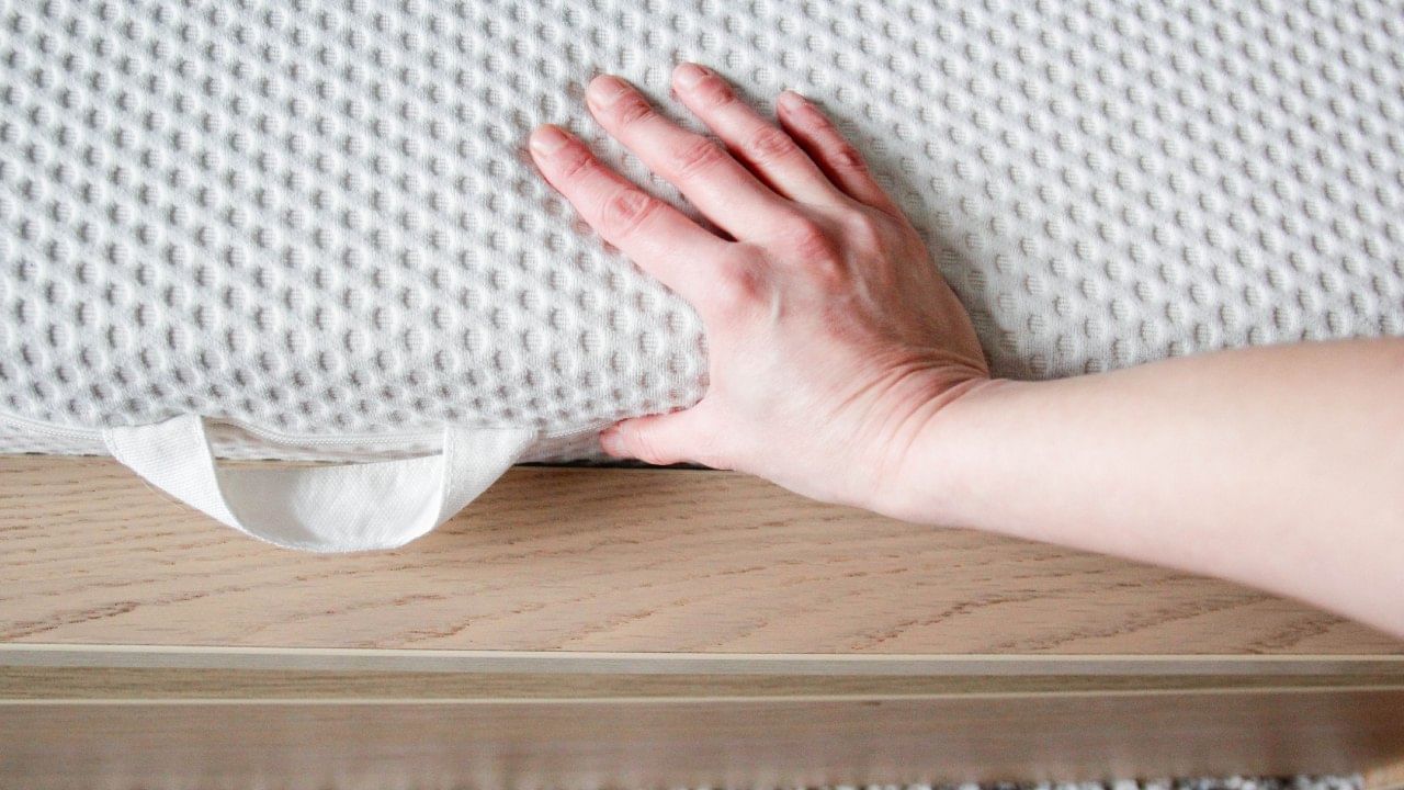 लसणाप्रमाणेच पुदिन्याच्या पानांचा वापर करता येतो. पुदिन्याची पाने वाटून त्याची पेस्ट बनवा। ती ढेकूण असलेल्या जागी लावा. पुदिन्याच्या वासाने ढेकूण ती जागा सोडून पळून जातात.