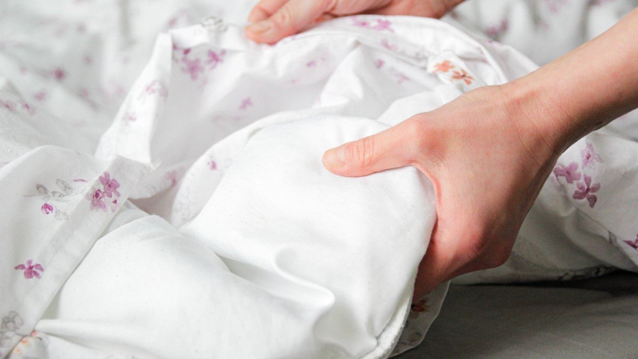 ढेकूण जास्त दिवस घरात राहिले तर वस्तूंसोबतच आरोग्यालाही नुकसान होते. जर तुमच्याही घरात ढेकूण असतील आणि तुम्हाला त्यांचा कायमचा बंदोबस्त करायचा असेल, तर तुम्ही काही घरगुती उपाय करुन त्यापासून सुटका मिळवू शकता.