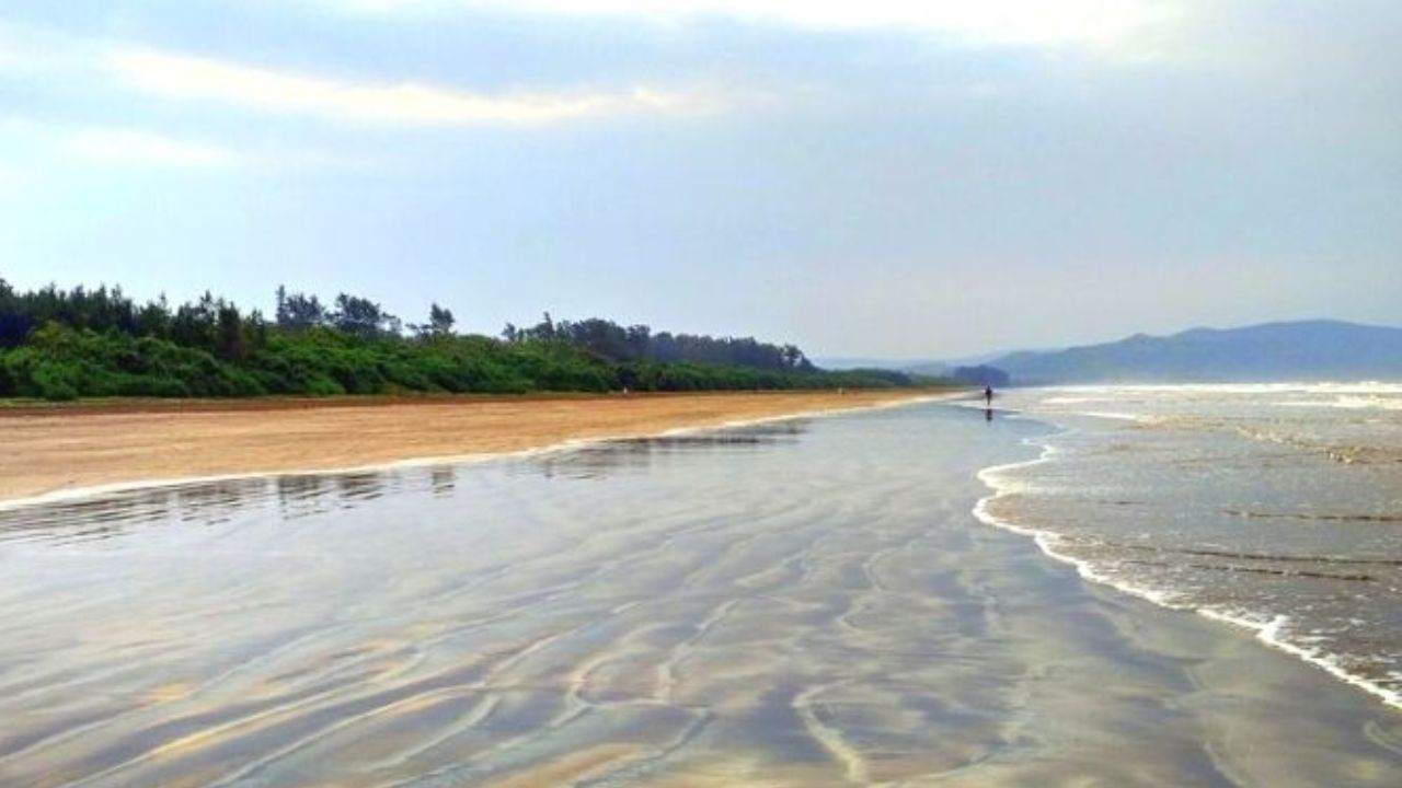 दिवेआगर: दिवेआगर हे महाराष्ट्रातील शांत आणि स्वच्छ समुद्रकिनारा आहे. स्वच्छ वाळू, सीफूड आणि कमी गर्दी हे या ठिकाणाचे वैशिष्ट्ये आहे. तुम्ही कमी बजेटमध्ये शांततेच्या शोधात असाल, हे ठिकाण तुमच्यासाठी खास आहे.  