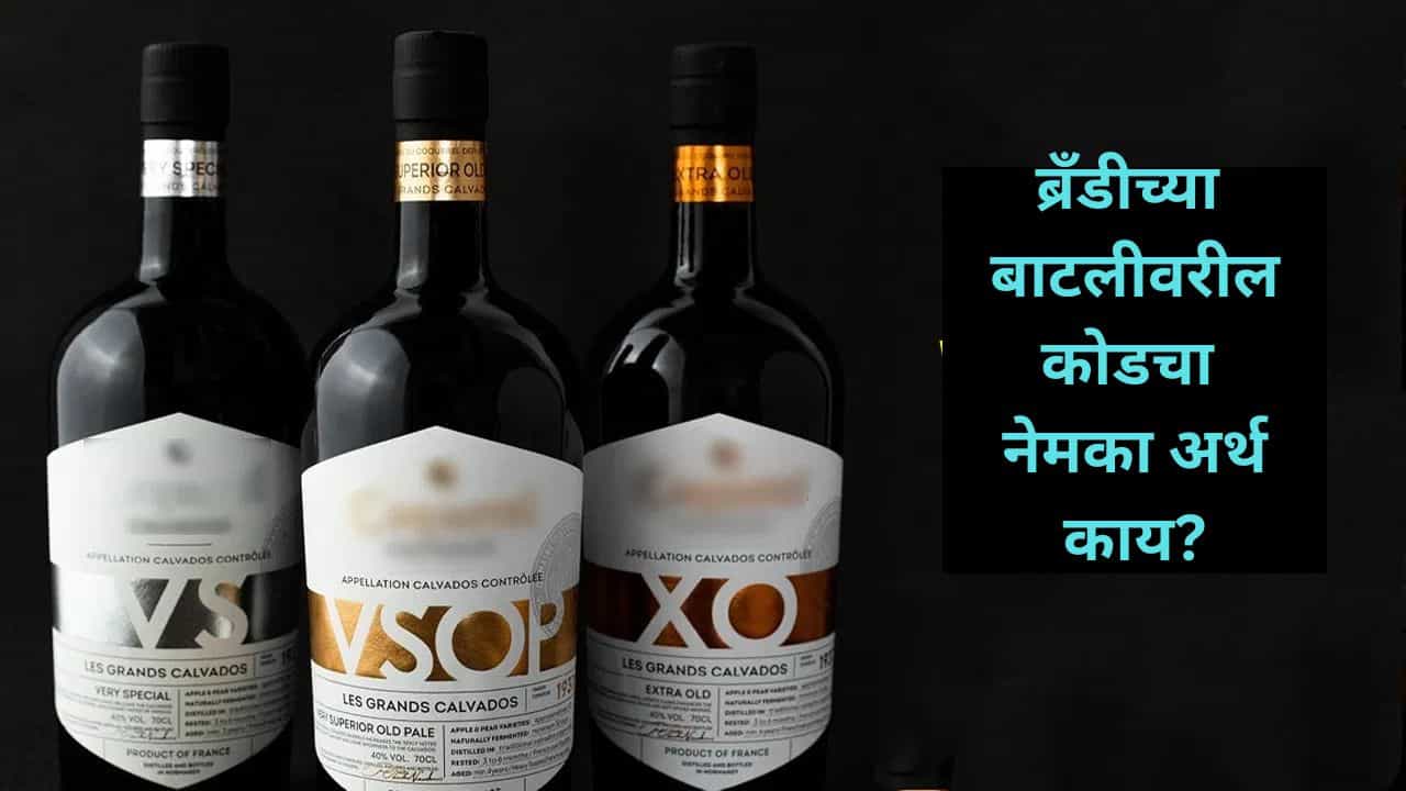 ब्रँडीच्या बाटलीवरील VS, VSOP, XO कोडचा नेमका अर्थ काय? दररोज पिणाऱ्यांनाही माहिती नसेल