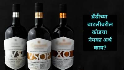 ब्रँडीच्या बाटलीवरील VS, VSOP, XO कोडचा नेमका अर्थ काय? दररोज पिणाऱ्यांनाही माहिती नसेल