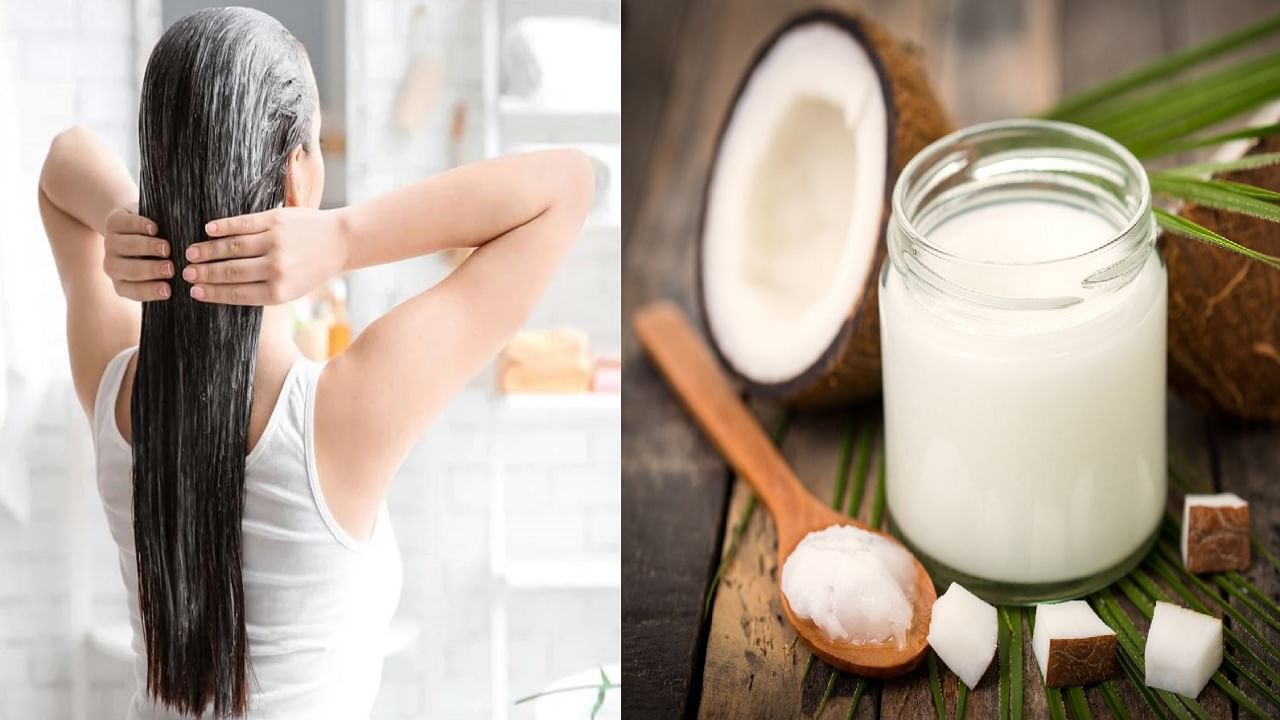 सॉफ्ट, स्मूथ आणि हायड्रेटेड केसांसाठी प्रभावी आहे नारळाचे दूध, वापरा फक्त 'या' प्रकारे सॉफ्ट, स्मूथ आणि हायड्रेटेड केसांसाठी प्रभावी आहे नारळाचे दूध, वापरा फक्त 'या' प्रकारे