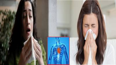 शिंकताना आपले हृदय खरंच काही सेकंदांसाठी थांबते? म्हणून लोक घेतात देवाचे नाव,सत्य काय?