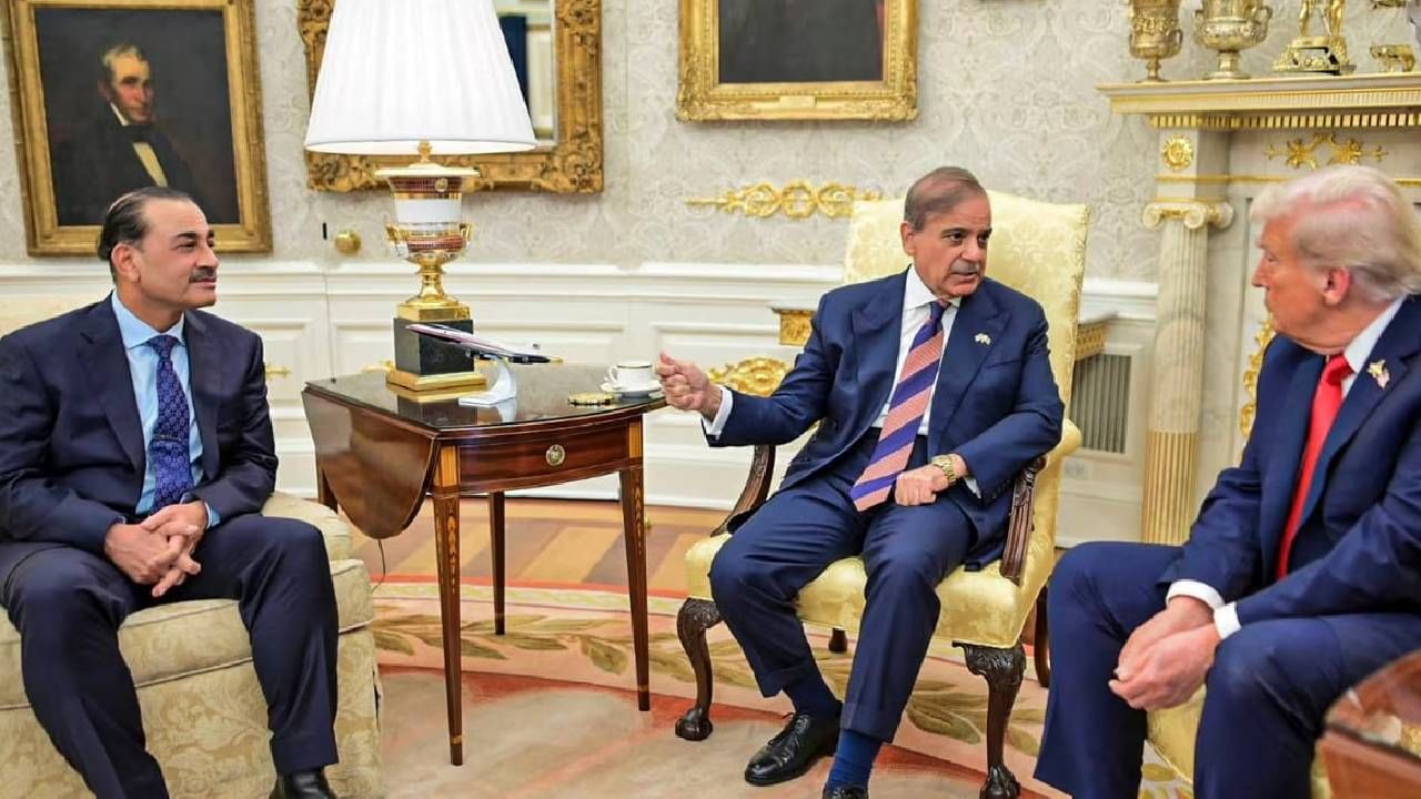 डोनाल्ड ट्रम्प यांचा खोटारडेपणा जगासमोर, पाकिस्तानने झटकले हात, गंभीर आरोप करत...