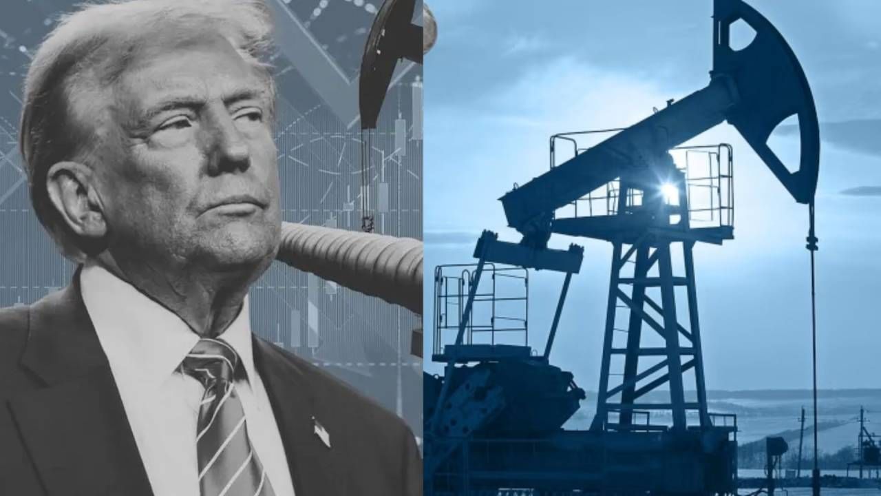 टॅरिफवर भारताकडून मोठा उपाय, डोनाल्ड ट्रम्प हैराण, जगात खळबळ उडवणारी आकडेवारी पुढे, तब्बल…