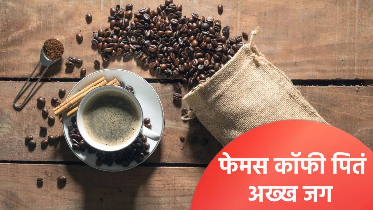 आपल्या भारताची 'ही' फेमस कॉफी पितं अख्ख जगं, जाणून घ्या भारत किती कॉफी करते निर्यात? आपल्या भारताची 'ही' फेमस कॉफी पितं अख्ख जगं, जाणून घ्या भारत किती कॉफी करते निर्यात?