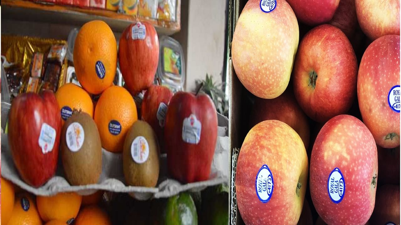 फळांवर लावलेल्या स्टिकर्सचा अर्थ काय? 90% लोकांना माहित नसेल, जाणून घ्या, नंतर फळे खरेदी करताना तुम्हीही चेक कराल स्टिकर फळांवर लावलेल्या स्टिकर्सचा अर्थ काय? 90% लोकांना माहित नसेल, जाणून घ्या, नंतर फळे खरेदी करताना तुम्हीही चेक कराल स्टिकर