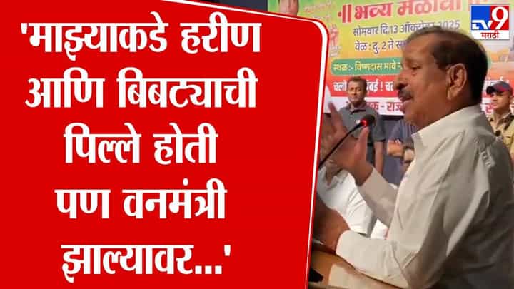 Ganesh Naik : माझ्याकडे हरीण आणि बिबट्याची पिल्ले होती पण वनमंत्री झाल्यावर..., गणेश नाईकांचा धक्कादायक खुलासा Ganesh Naik : माझ्याकडे हरीण आणि बिबट्याची पिल्ले होती पण वनमंत्री झाल्यावर..., गणेश नाईकांचा धक्कादायक खुलासा