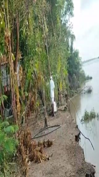 गोदावरी नदीला पूर; पालम तालुक्यातील जांभूळ बेट पर्यटन क्षेत्राचे प्रचंड नुकसान