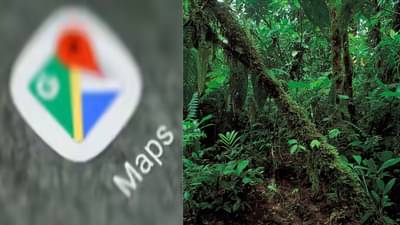 हे तुमच्याबाबतही घडू शकतं... वेळीच सावध व्हा... गुगल मॅपवर भयानक घनघोर जंगल दिसलं... गुगलने काय दाखवलं? 5 इंजीनिअर्सचं नेमकं काय झालं?