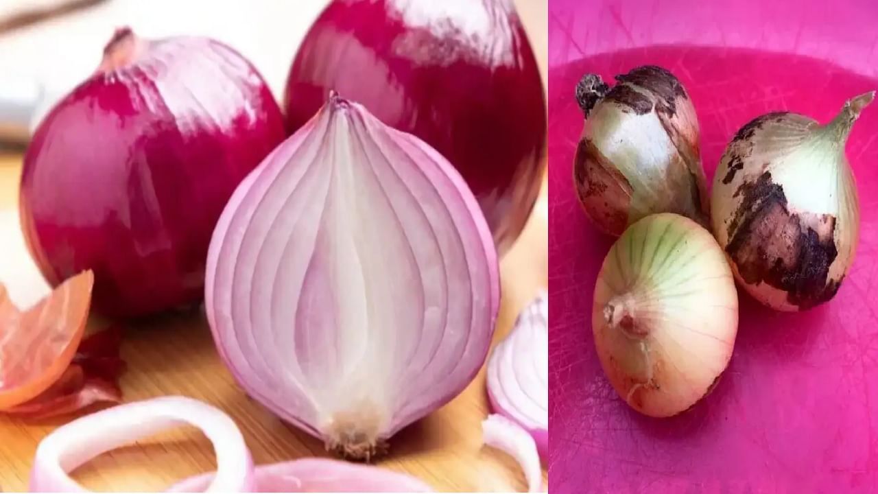 जर कांद्यावर असे डाग दिसत असतील तर कधीही खाऊ नका; निर्माण होऊ शकते गंभीर समस्या जर कांद्यावर असे डाग दिसत असतील तर कधीही खाऊ नका; निर्माण होऊ शकते गंभीर समस्या