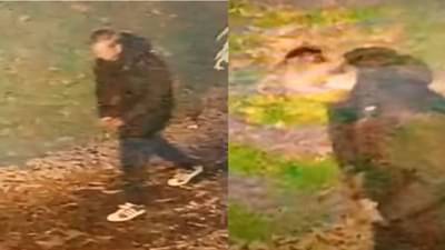 भारतीयांनो परत जा... या देशात भारतीय महिलेवर अत्याचार, जगात खळबळ, हल्लेखोरांनी थेट...