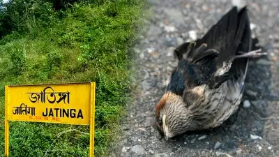 भारतातील सर्वात अनोखं गाव! संध्याकाळी 7 ते 10 दरम्यान घडते विचित्र घटना, बातमी वाचून हैराण व्हाल