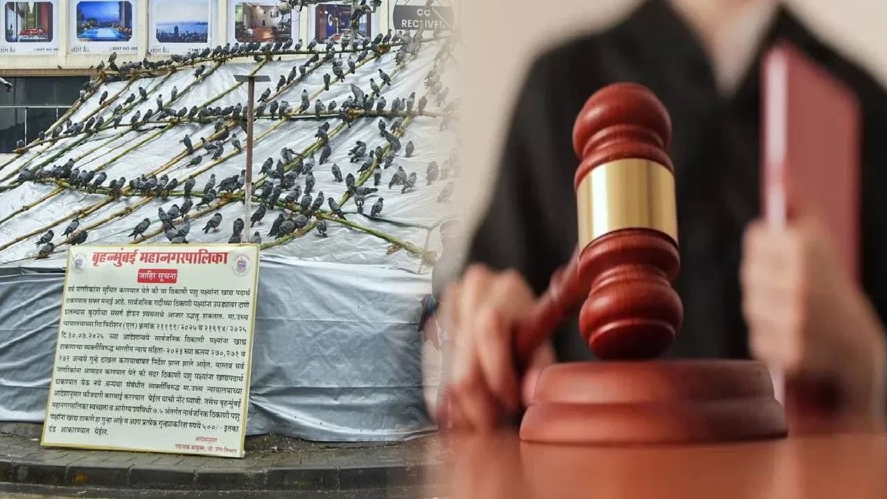 कबुतरखान्यांसाठी जैन समाज पुन्हा आक्रमक, जैन मुनींचा थेट इशारा, आमरण उपोषण करणार