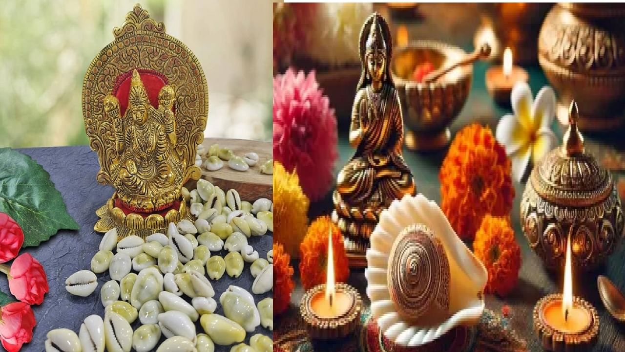 लक्ष्मीपूजनाच्या दिवशी कवडीचे करा हे उपाय; अडथळे दूर होतील नशीबही चमकेल लक्ष्मीपूजनाच्या दिवशी कवडीचे करा हे उपाय; अडथळे दूर होतील नशीबही चमकेल