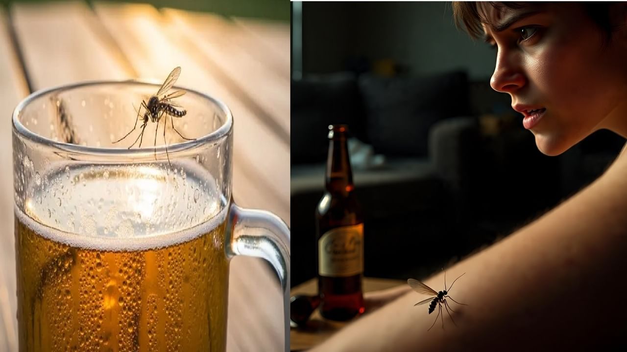 काय सांगता? मच्छरांना बिअर पिणारी लोक आवडतात; अंघोळ करणाऱ्या लोकांशी वैर; रिसर्चमध्ये धक्कादायक खुलासे