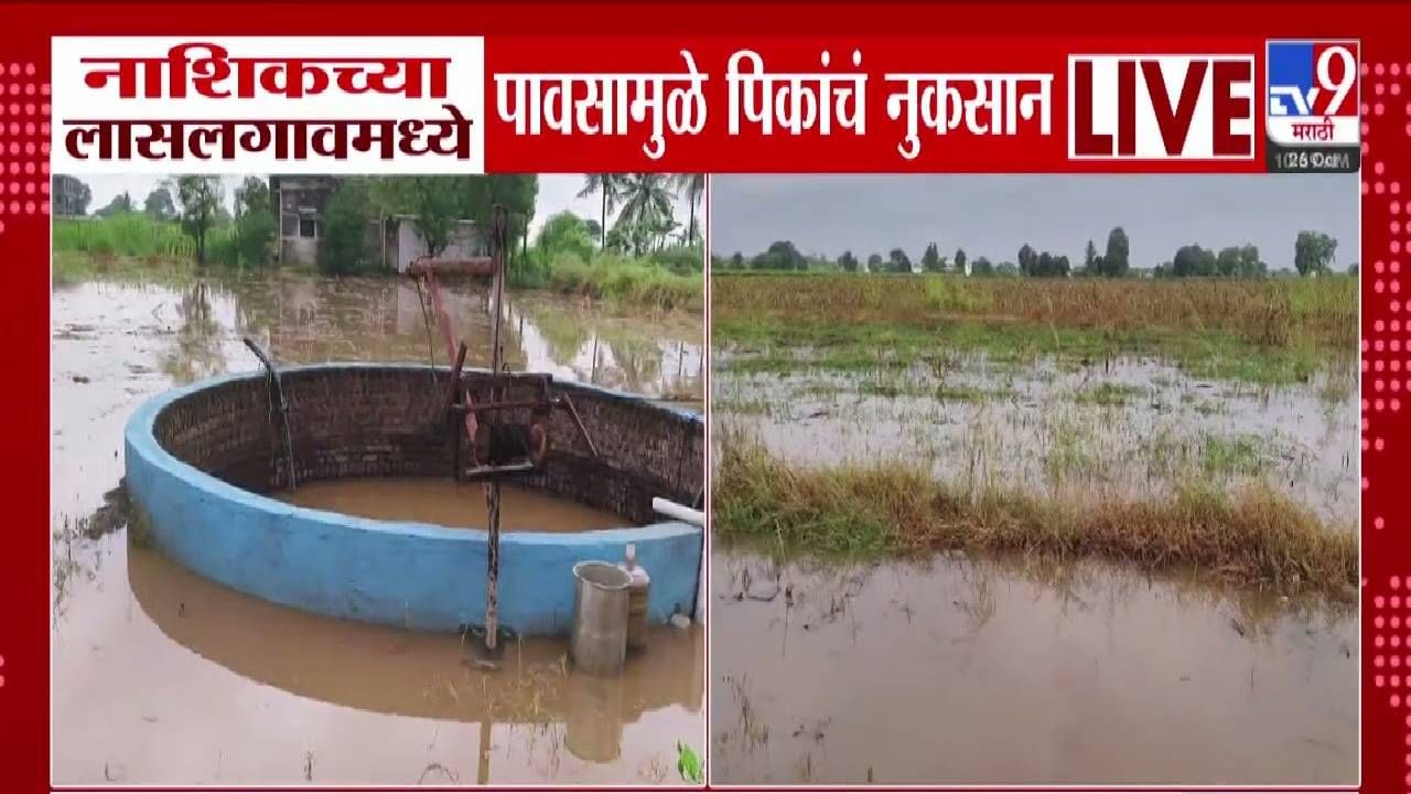 Nashik Rain : लासलगावात मुसळधार पावसाचं थैमान, विहीर अर्धी पाण्यात तर पिकांचं मोठं नुकसान अन्... बळीराजा चिंतेत