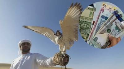 या मुस्लीम देशातून येतोय खोऱ्याने पैसा, का पैसे पाठवण्याची वाढली स्पर्धा, भारतीय अर्थव्यवस्थेला किती फायदा ?