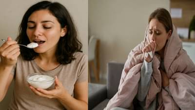 दही खाण्याची योग्य वेळ काय? 90 % लोकांना माहित नसेल, जाणून घ्या अन्यथा आजारी पडाल