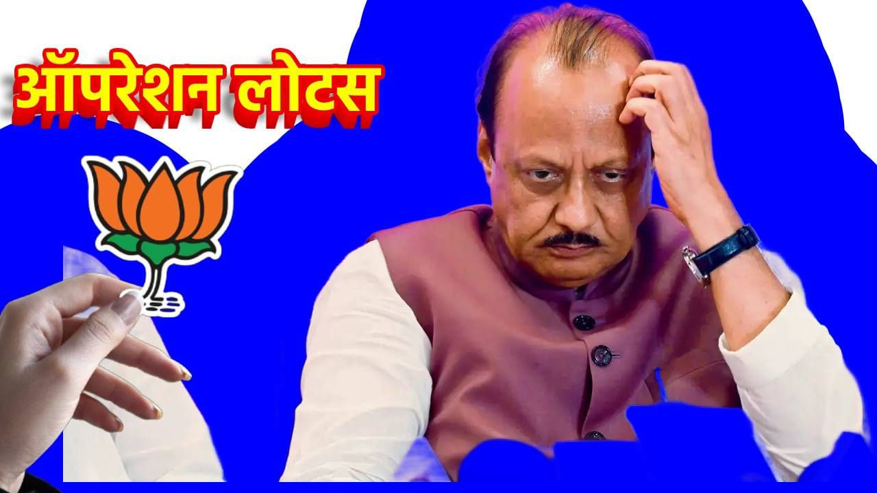 BJP : सोलापूरमध्ये ‘ऑपरेशन लोट्स’; अजितदादांच्या राष्ट्रवादीला भाजपचा मोठा धक्का, हे दोन माजी आमदार गळाला